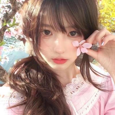 双生赤狐